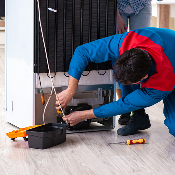 what are the common refrigerator repair services in Chassell